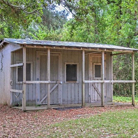 Secluded And Quiet Coastal Home 1 Mile To Boat Ramp Sealevel Bagian luar foto